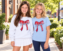 Rebel Spirit Youth & Adult Sweatshirt (DT22)